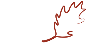 LeafX Logo